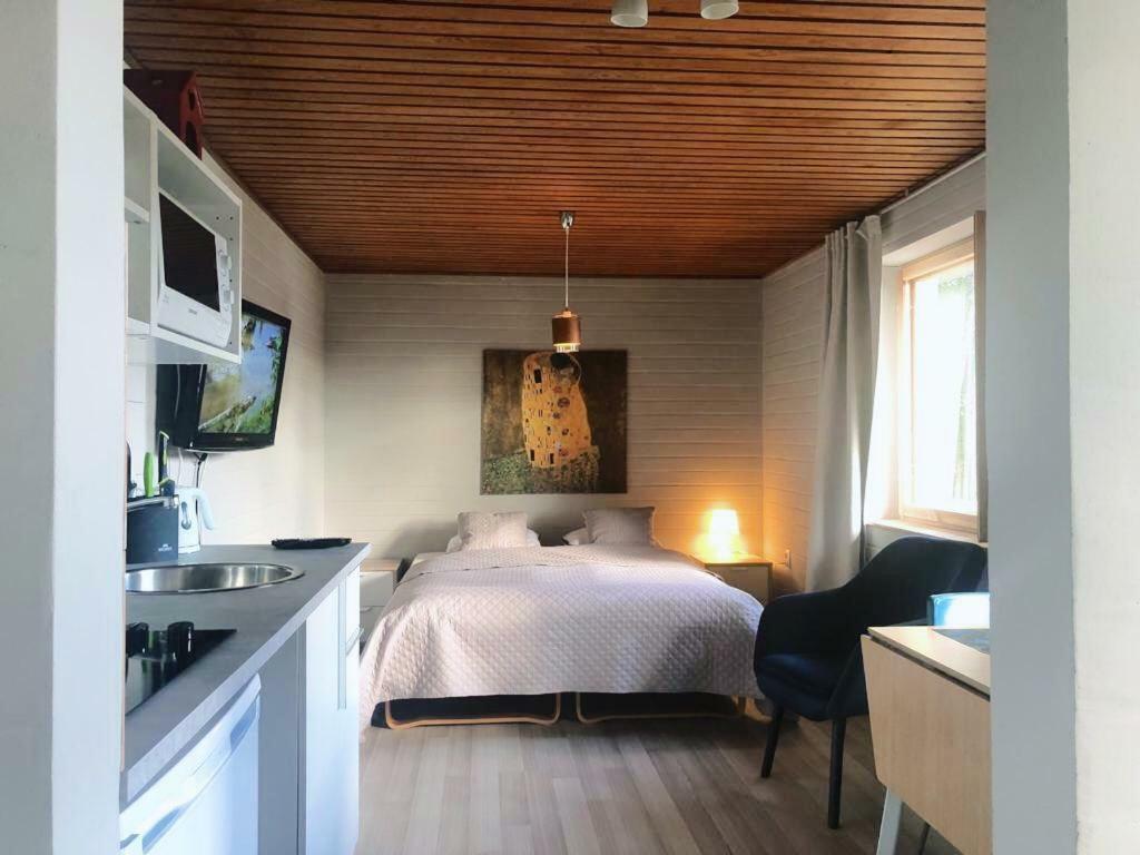 Villa Rajala Иматра Экстерьер фото
